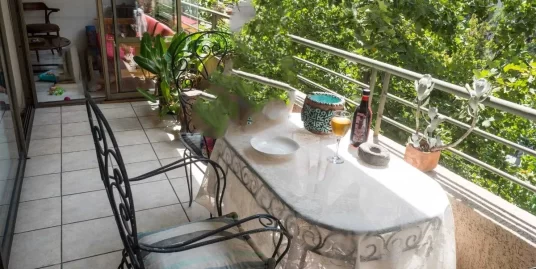 AMPLIO DEPARTAMENTO 2D PROVIDENCIA