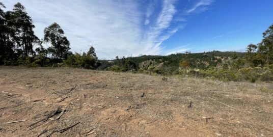 VENTA TERRENO ROL PROPIO PICHILEMU