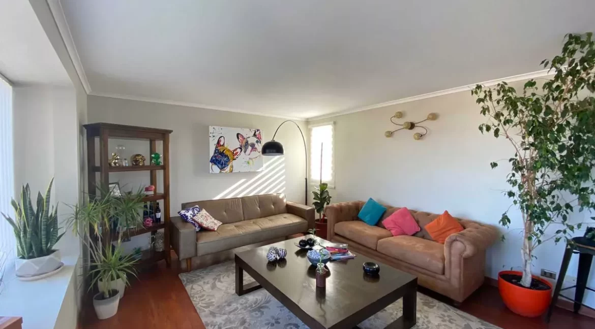 D_NQ_NP_2X_740424-MLC76553049149_052024-F